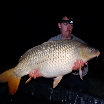 Carp (28lbs 8oz ) caught by Hugh Strange at  France.