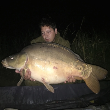 Carp (31lbs 0oz ) caught by Billy Berridge at  France.