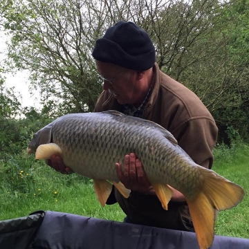 Carp (31lbs 0oz ) caught by Barry Cundiff at  France.