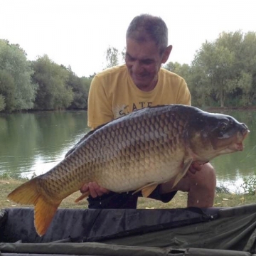 Carp (33lbs 10oz ) caught by Bob Carey at  France.