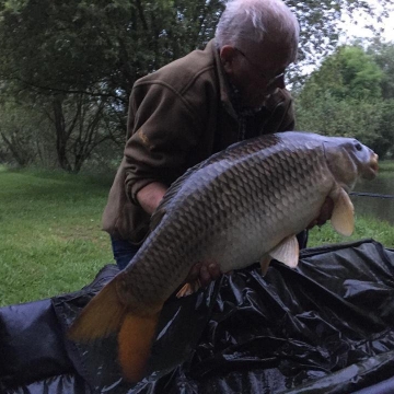 Carp (33lbs 0oz ) caught by Barry with Billy's carp at  France.