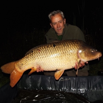 Carp (34lbs 12oz ) caught by Paul Jeive at  France.