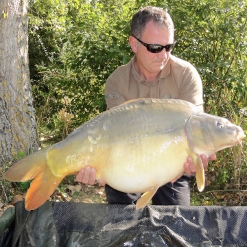 Carp (35lbs 12oz ) caught by Philip Anderson at  France.