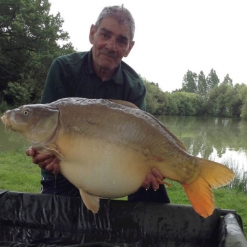 Carp (35lbs 7oz ) caught by Bob Carey at  France.