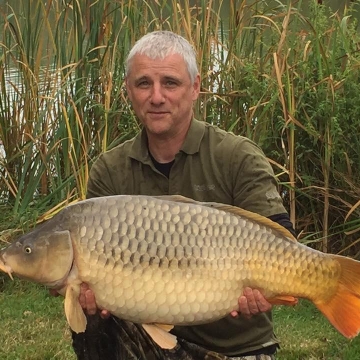 Carp (36lbs 4oz ) caught by Philip English at  France.