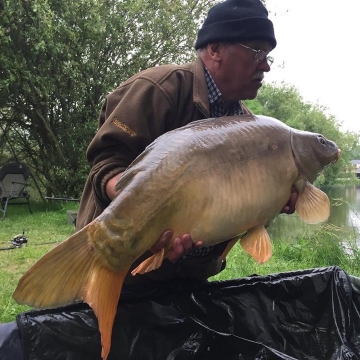 Carp (36lbs 9oz ) caught by Barry with Billy's Carp at  France.