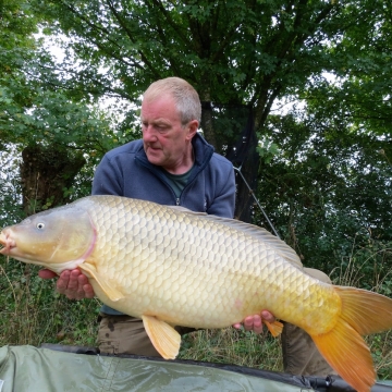 Carp (36lbs 0oz ) caught by Paul Cooper at  France.