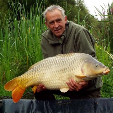 Carp (37lbs 0oz ) caught by Paul Jeive at  France.