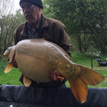 Carp (42lbs 8oz ) caught by Barry Cundiff at  France.