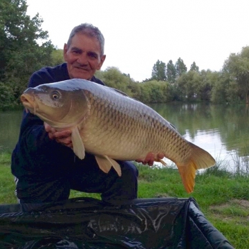 Carp (26lbs 4oz ) caught by Bob Carey at  France.