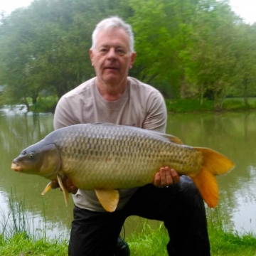 Carp (31lbs 0oz ) caught by Phil Calladine at  France.