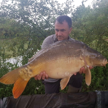 Carp (31lbs 8oz ) caught by Philip Anderson at  France.