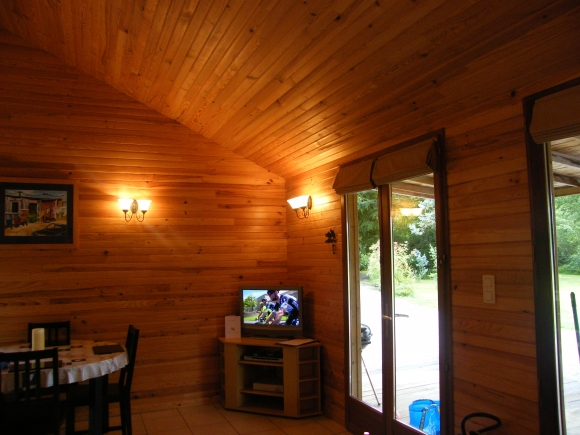 Interior - dining