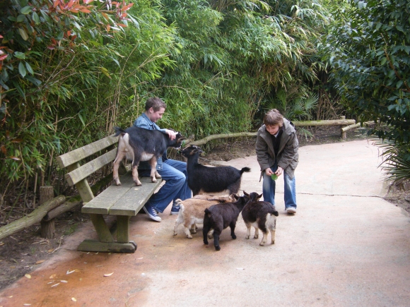 Refuge de l'Arche - Ark Animal Rescue Zoo - fun for children and adults alike
