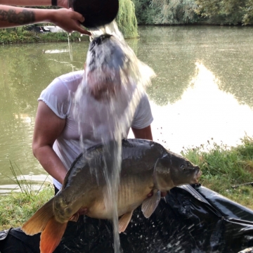                                             Josh Lucas (PB): Carp 42lbs 8oz
                                    