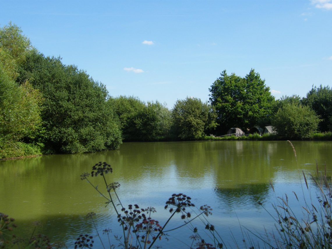 Oakview Lakes far bank swims