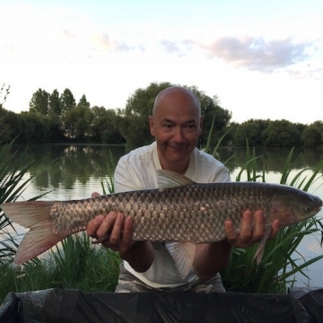 Carp (10lbs 2oz ) caught by Mick Lucas (PB) at  France.