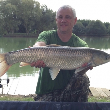 Carp (11lbs 12oz ) caught by Philip English at  France.