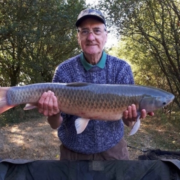 Carp (16lbs 8oz ) caught by Vic Priest at  France.