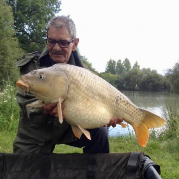 Carp (23lbs 0oz ) caught by Bob Carey at  France.