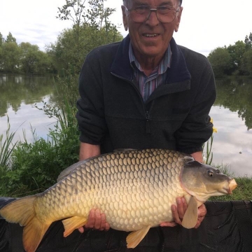 Carp (28lbs 0oz ) caught by Martin Beaujeux (PB) at  France.