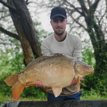 Carp (31lbs 12oz ) caught by Liam Carpenter at  France.