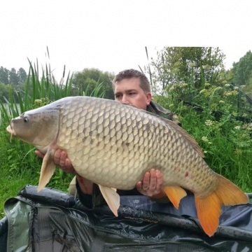 Carp (31lbs 6oz ) caught by Jason Rainbow at  France.
