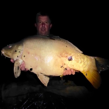 Carp (31lbs 0oz ) caught by Barry Plummer at  France.