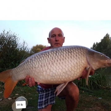 Carp (31lbs 0oz ) caught by Waine Morgan at  France.