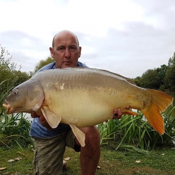 Carp (31lbs 0oz ) caught by Waine Morgan at  France.