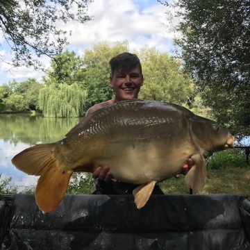 Carp (31lbs 0oz ) caught by Thomas Armes (PB) at  France.