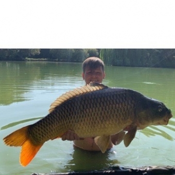 Carp (33lbs 7oz ) caught by Thomas Armes at  France.