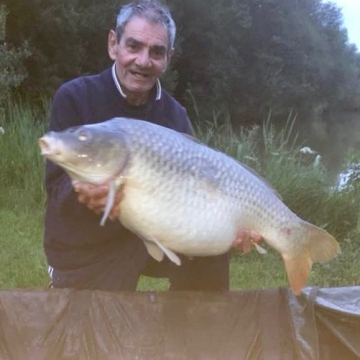 Carp (33lbs 0oz ) caught by Bob Carey at  France.