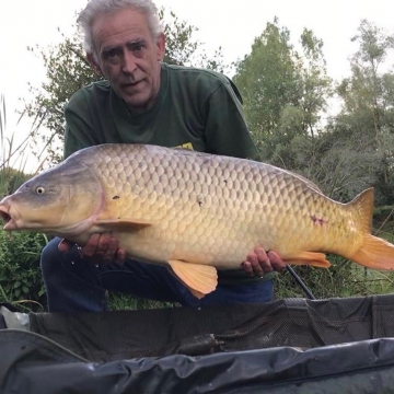 Carp (34lbs 0oz ) caught by Paul Jeive at  France.