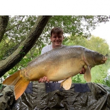 Carp (35lbs 12oz ) caught by Thomas Armes at  France.