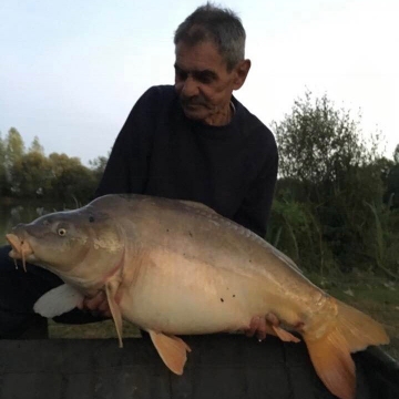 Carp (36lbs 10oz ) caught by Bob Osborne-Carey at  France.