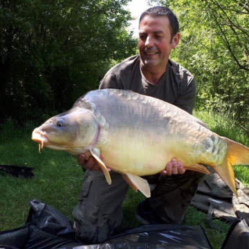 Carp (36lbs 6oz ) caught by James Stottor at  France.
