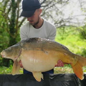 Carp (36lbs 7oz ) caught by Liam Carpenter at  France.