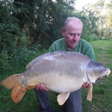 Carp (36lbs 0oz ) caught by Derek Morris at  France.