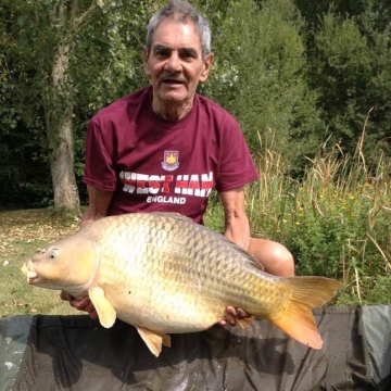 Carp (36lbs 4oz ) caught by Bob Osborne-Carey at  France.