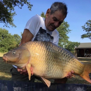 Carp (38lbs 0oz ) caught by Bob Osborne-Carey at  France.