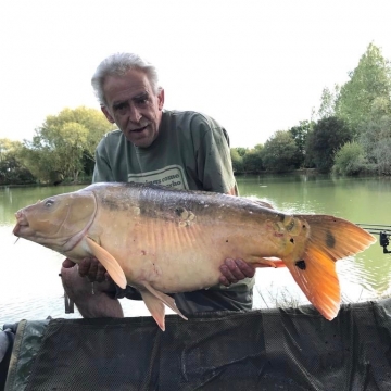 Carp (40lbs 2oz ) caught by Paul Jeive at  France.