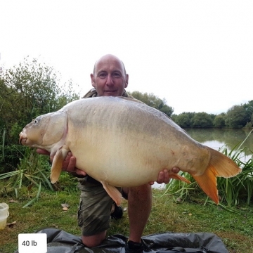 Carp (40lbs 0oz ) caught by Waine Morgan at  France.