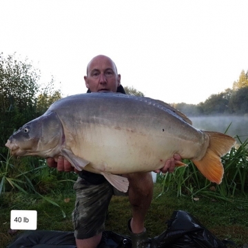 Carp (40lbs 0oz ) caught by Waine Morgan at  France.