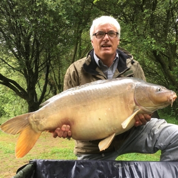 Carp (41lbs 8oz ) caught by Ray Green at  France.