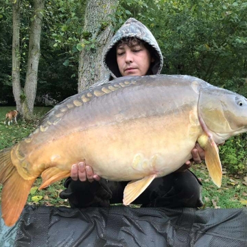 Carp (39lbs 4oz ) caught by Billy Berridge at  France.