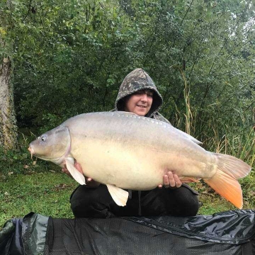 Carp (42lbs 2oz ) caught by Billy Berridge at  France.