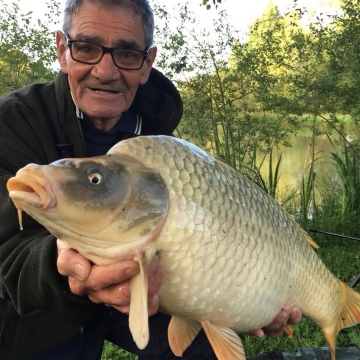 Carp (0lbs 0oz ) caught by Bob Carey at  France.