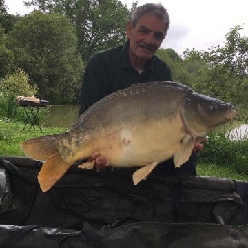 Carp (33lbs 8oz ) caught by Bob Carey at  France.