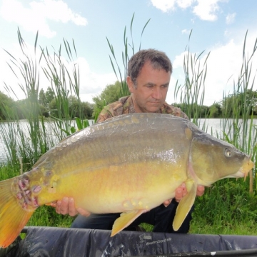 Carp (31lbs 8oz ) caught by Phil Anderson at  France.